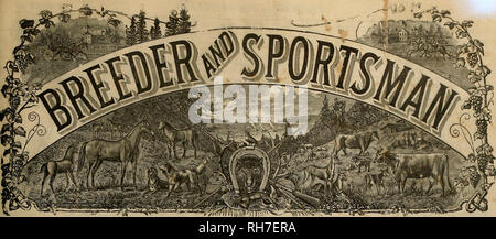 . Züchter und Sportler. Pferde. VOL. XXIV Nr. 14. 3 "Geary Street. SAN FRANCISCO, Samstag, 5. Oktober 1901. Abonnement für drei Dollar pro Jahr. Bitte beachten Sie, dass diese Bilder sind von der gescannten Seite Bilder, die digital für die Lesbarkeit verbessert haben mögen - Färbung und Aussehen dieser Abbildungen können nicht perfekt dem Original ähneln. extrahiert. San Francisco, Calif.: [s. n. ] Stockfoto