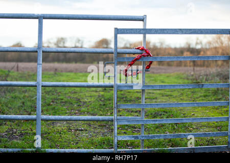 Ein paar Tore auf dem Bauernhof Feld in der englischen Landschaft mit rotem Kunststoff überzogen Chain Lock Stockfoto