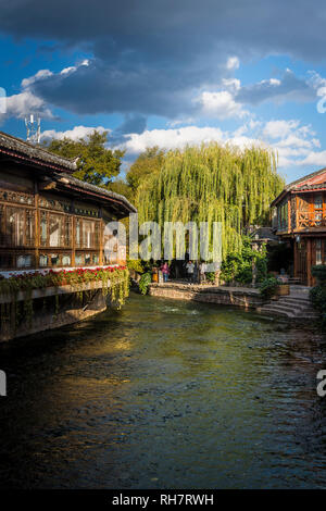 Häuser entlang der Grachten, Altstadt von Lijiang, historische Stadt, Provinz Yunnan, China Stockfoto