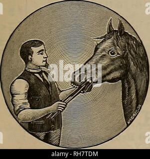 . Züchter und Sportler. Pferde. Kalamazoo Farm. Harry E. Tischler, M. 0. c. V-S. Tierarzt. Honorary Graduate oi Ontario" Tierärztliche Kol-lege, Toronto. Kanada. S3 Ridslings kastriert. Veterinär Krankenstation, 331&gt; "atoma St Residenz, S66 Eowcjd St., San Francisco. Veterinärmedizin Zahnmedizin.. Diese wissenschaftliche Vorbereitung ist eine absolute Heilung für alle Knöchernen oder verhärteten Klumpen auf Pferden, und ist ein leistungsfähiger saugfähiger als "Fir-ing", ohne den geringsten Makel. Bei era tew Anwendungen die Auswüchse ist so spürbar reduziert, dass selbst skeptische franklv Quittieren t Stockfoto