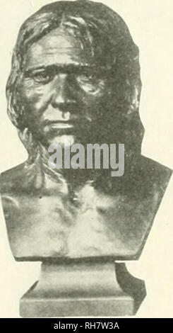 . Das Gehirn vom Affen zum Menschen; ein Beitrag zur Untersuchung der Entwicklung und der Entwicklung des menschlichen Gehirns. Gehirn; Evolution; Pongidae. . Bitte beachten Sie, dass diese Bilder sind von der gescannten Seite Bilder, die digital für die Lesbarkeit verbessert haben mögen - Färbung und Aussehen dieser Abbildungen können nicht perfekt dem Original ähneln. extrahiert. Tilney, Friedrich, 1875-1938; Riley, Henry Alsop, 1887 -. New York, S. B. Hoeber, Inc. Stockfoto