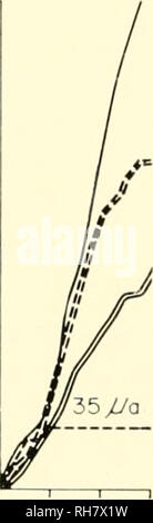 . Gehirn Mechanismen und Lernen, ein Symposium. Psychophysiologie; Lernen, Psychologie der. ANT. THAL U Bitte beachten Sie, dass diese Bilder sind von der gescannten Seite Bilder, die digital für die Lesbarkeit verbessert haben mögen - Färbung und Aussehen dieser Abbildungen können nicht perfekt dem Original ähneln. extrahiert. Rat für internationale Organisationen der medizinischen Wissenschaften; Fessard, A. (Alfred); Delafresnaye, J. F. (Jean Francisque), 1919 -. Springfield, Illinois, Thomas Stockfoto