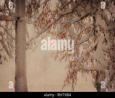 Fotografie: Winter in der Nähe von Bad Tölz, Bayern, Deutschland Stockfoto