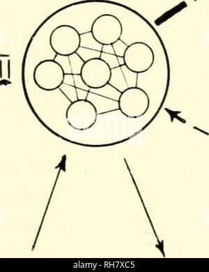 . Gehirn Mechanismen und Lernen, ein Symposium. Psychophysiologie; Lernen, Psychologie der. p'. Bitte beachten Sie, dass diese Bilder sind von der gescannten Seite Bilder, die digital für die Lesbarkeit verbessert haben mögen - Färbung und Aussehen dieser Abbildungen können nicht perfekt dem Original ähneln. extrahiert. Rat für internationale Organisationen der medizinischen Wissenschaften; Fessard, A. (Alfred); Delafresnaye, J. F. (Jean Francisque), 1919 -. Springfield, Illinois, Thomas Stockfoto