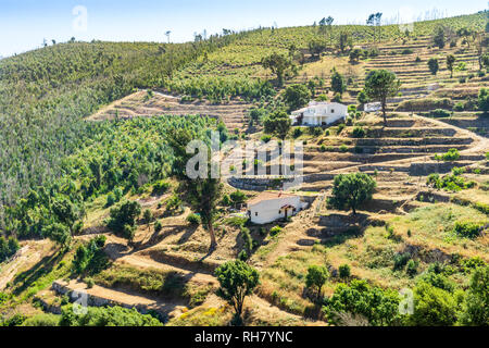 Schöne Landschaft von terrassierten Hängen in der Sierra de Monchique, Algarve, Portugal Stockfoto