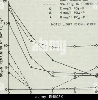 . Entfernung von Nitrat durch eine Algenblüte. Wasser; Nitrate; Wasser; Algen. Druckluft. Außerdem werden fünf Ebenen der Fe wurden in Kulturen, die 2,0 mg/l P hinzugefügt worden waren und die sich zweimal täglich wirbelte getestet. Das Nitrat in der var-ious Kulturen ist in Abbildung L 6 angezeigt. Diese Daten deuten darauf hin, dass die Interaktion zwischen den drei Variablen getestet, und dass im Allgemeinen, die Zugabe von CO2 und Fe erhöht die Rate von Nitrat Assimilation. Die Höhe der Eisen hinaus, die die maximale Wirkung war über 3 mg/l Fe, die Mindestanforderungen für komplette Nitrat assimilatio Stockfoto