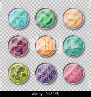 Mit Bakterien Kolonie Platte Stock Vektor