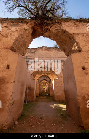 Panorama der alten Bögen der massiven königlichen Ställe und Getreidespeicher von Moulay Ismail in der kaiserlichen Stadt Meknes, Marokko ruiniert Stockfoto