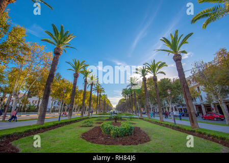 Panorama von Palmen im Park (Parc). Hauptattraktion und schönen grünen Garten im Zentrum der Stadt Fes, Fes, Marokko Stockfoto