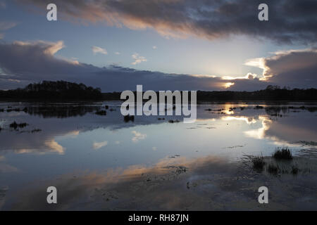 Fluss Avon in der Flut Raymond Braun Pocket Park Nature Reserve bei Sonnenuntergang Ringwood Hampshire England Großbritannien Stockfoto