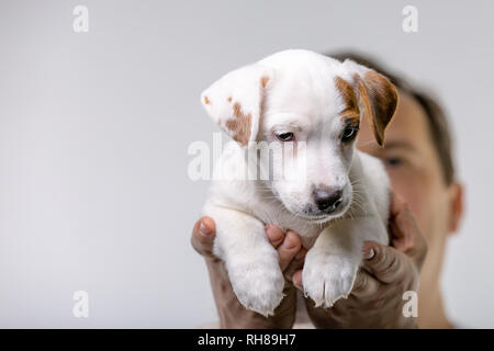 Horizontale Portrait von Stattlichen fröhliche Mann hält Jack Russell terrirer, hat mich Ausdruck Stockfoto