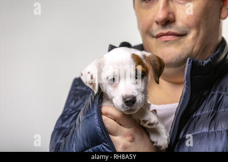 Horizontale Portrait von Stattlichen fröhliche Mann hält Jack Russell terrirer, hat mich Ausdruck Stockfoto