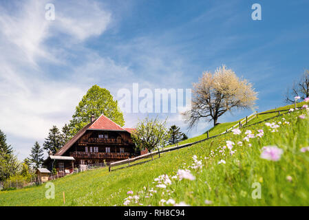 Feder, Bauernhaus im Emmental, blühende Wiese, Bern, Schweiz Stockfoto