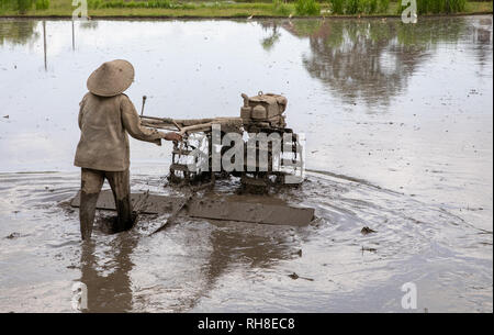 Pflügen Reisfelder mit Wandern Traktor. Stockfoto