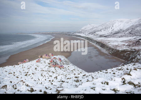 Schnee am Rhossili am 1. Februar 2019 Stockfoto