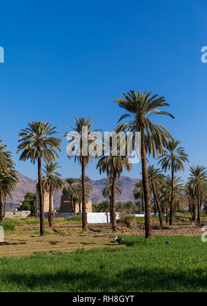 Traditionelles altes Lehmhaus, Najran Provinz Najran, Saudi-Arabien Stockfoto