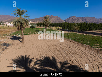 Traditionelles altes Lehmhaus, Najran Provinz Najran, Saudi-Arabien Stockfoto