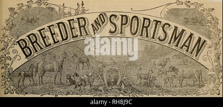 . Züchter und Sportler. Pferde. ^H * =^ ae^J. SAN FKANCISCO, Samstag, 21. Juli 1888. Amerikanischer Traber in Frankreich. Misty Morning:, Pat Dempsey. Kozyr, Capu - cine - Die Aeony vorbei ist. Pabis, Juni 19 - cloady AJdoublful, eky, eine frostige noch' - wir 3 Ti-r, aud die Abwesenheit der snn auf der dritten Tagung der irotters in Paris-Vincennes gekennzeichnet, gestern. Noch, fallende Wetter kiodly Weg ist, eine große Anzahl von Sight-Seher gaihered am firBt Trab Hippodrom von "La Belle France." Sight-Seher, ja, viele, Reiter, wenige; buchen Sie Entscheidungsträger und ihre Opfer ein innnmerable Menge. Grober, die ol Stockfoto