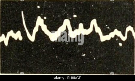 . Gehirn Mechanismen und Lernen, ein Symposium. Psychophysiologie; Lernen, Psychologie der. 7A^. Bitte beachten Sie, dass diese Bilder sind von der gescannten Seite Bilder, die digital für die Lesbarkeit verbessert haben mögen - Färbung und Aussehen dieser Abbildungen können nicht perfekt dem Original ähneln. extrahiert. Rat für internationale Organisationen der medizinischen Wissenschaften; Fessard, A. (Alfred); Delafresnaye, J. F. (Jean Francisque), 1919 -. Springfield, Illinois, Thomas Stockfoto