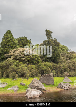 Ephemere Feuchtgebiete im Sommer, schöne ruhige Landschaft, Natur, See Kiriopukae, Te Urewera National Park, North Island, Neuseeland Stockfoto