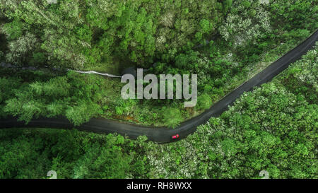 Drone Luftaufnahme von grünem Wald mit einer Straße und einem tiefen Wasserfall in 'Ribeiro Frio', Madeira, Portugal. Stockfoto