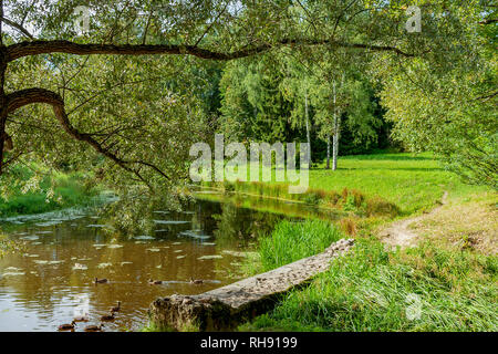 Einem malerischen Teich mit Banken mit verschiedenen Bäumen bedeckt Stockfoto