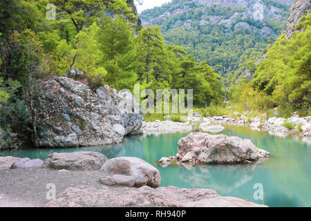 Blick auf schönen kleinen Teich in der Schlucht zwischen grün bewaldeten Bergen. Stockfoto