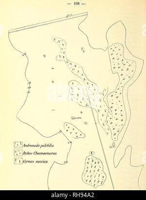 . Botanisk Tidsskrift". Botanik; Pflanzen; pflanzen. Abb. 17. Oversigt über Forekomsten af Andromeda polifolia, Rubus chamaemorus og Cornus suecica.. Bitte beachten Sie, dass diese Bilder sind von der gescannten Seite Bilder, die digital für die Lesbarkeit verbessert haben mögen - Färbung und Aussehen dieser Abbildungen können nicht perfekt dem Original ähneln. extrahiert. Botaniske forening i København. København: H. Hagerups Forlag Stockfoto