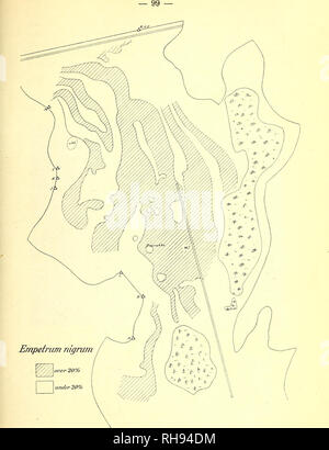 . Botanisk Tidsskrift". Botanik; Pflanzen; pflanzen. Abb. 11. Oversigt über Fordelingen af Empetrum nigrum (efter Arealprocent).. Bitte beachten Sie, dass diese Bilder sind von der gescannten Seite Bilder, die digital für die Lesbarkeit verbessert haben mögen - Färbung und Aussehen dieser Abbildungen können nicht perfekt dem Original ähneln. extrahiert. Botaniske forening i København. København: H. Hagerups Forlag Stockfoto