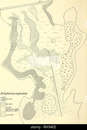 . Botanisk Tidsskrift". Botanik; Pflanzen; pflanzen. - 94 -. Abb. ] 0. Oversigt über Fordelingen (efter Arealprocent) af Eriophorum vaginatum.. Bitte beachten Sie, dass diese Bilder sind von der gescannten Seite Bilder, die digital für die Lesbarkeit verbessert haben mögen - Färbung und Aussehen dieser Abbildungen können nicht perfekt dem Original ähneln. extrahiert. Botaniske forening i København. København: H. Hagerups Forlag Stockfoto
