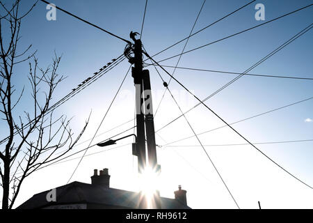 A mass of overhead telephone and electricity wires on a utility pole, residential street-side, in the village of Freshwater, Isle of Wight, UK. Stockfoto