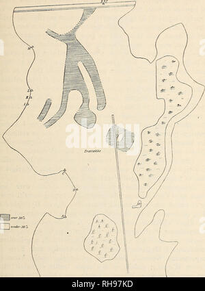 . Botanisk Tidsskrift". Botanik; Pflanzen; pflanzen. - 27 -. Abb. 1. Oversigt über Fordelingen af Sphagnum rubellum. naermest tilgraensende Omraader en større Hyppighed noget, der enkelte Orte in stiger bis 20%. Sphagnum recurvum karakteriserer et betydeligt fugtigere Omraade. Denne Kunst er hyppigst ich den Nordlige Dels Randzone og vestlige straede ich det. Det skraverede Areal paa Abb. 2 Det viser Omraade, indenfor hvilket den opnaar en Hyppighedsgrad. Bitte beachten Sie, dass diese Bilder aus gescannten Seite Bilder, die digital für die Lesbarkeit verbessert haben mögen - Färbung und das Aussehen von t extrahiert werden Stockfoto