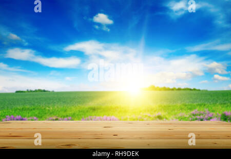 Leere Holztisch von Planken gegen Hintergrund Frühling Feld und strahlend blauen Himmel. Stockfoto