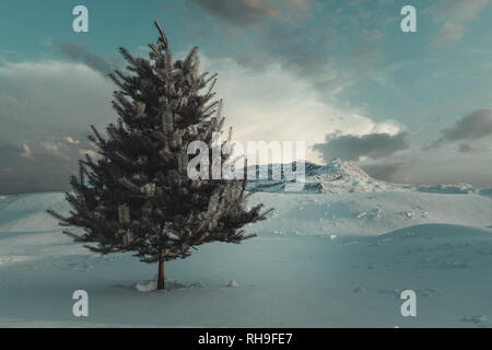 3D-Rendering der Weihnachtsbaum auf verschneiten Landschaft Stockfoto