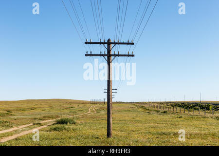 Oberleitung auf Holzstützen in der mongolischen Steppe, Bajan Mongolei Stockfoto