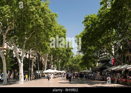 Fußgängerzone Rambla, Barcelona, Katalonien, Spanien Stockfoto