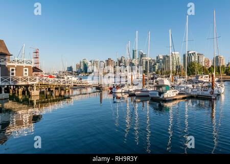 Hafen mit Segelbooten, zurück Zentrum mit Wolkenkratzern, Coal Harbour, Vancouver, British Columbia, Kanada Stockfoto