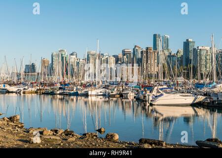 Hafen mit Segelbooten, zurück Zentrum mit Wolkenkratzern, Coal Harbour, Vancouver, British Columbia, Kanada Stockfoto