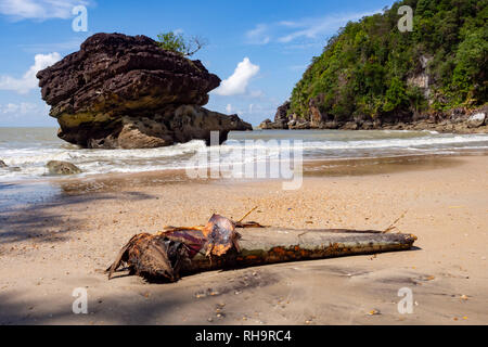 Strand im Bako Nationalpark, Borneo, Malaysia Stockfoto