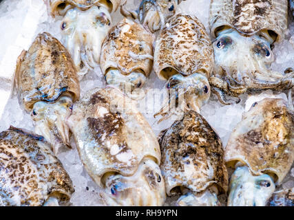 Tintenfisch in offenen seamarket, Napoli Stockfoto