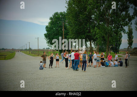 Touristen außerhalb von Birkenau Auschwitz lauschen einem Reiseleiter Stockfoto