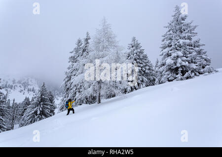 Frau Wandern auf verschneiten Hügel mit Schnee bedeckten Bäumen, Krvavec, Slowenien Stockfoto