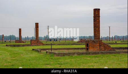 Oswiecim, Polen - 11. Juli 2018. Gemauerte Schornsteine, die einst Teil der Kaserne in Birkenau. Der Rest der Baumaterialien wurden zur Wiederverwendung Stockfoto