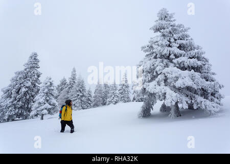 Frau Wandern auf verschneiten Hügel mit Schnee bedeckten Bäumen, Krvavec, Slowenien Stockfoto