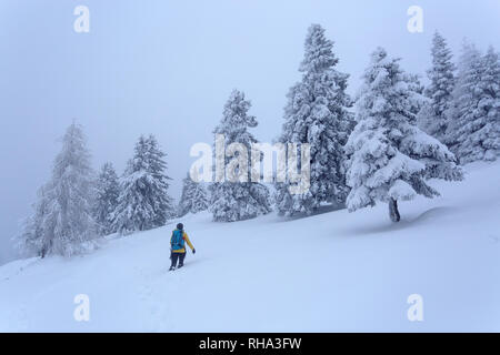 Frau Wandern auf verschneiten Hügel mit Schnee bedeckten Bäumen, Krvavec, Slowenien Stockfoto