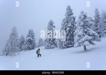 Frau Wandern auf verschneiten Hügel mit Schnee bedeckten Bäumen, Krvavec, Slowenien Stockfoto