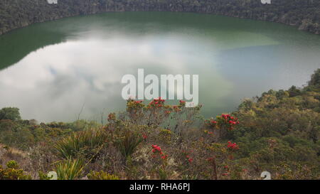 Laguna de Guatavita Stockfoto