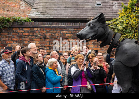 Liverpool's Dream Xolo der Hund Riesen Stockfoto