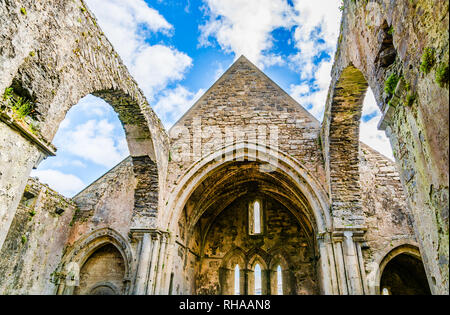 County Clare, Irland: Corcomroe Abbey Ruinen (St. Maria von den fruchtbaren Rock), Zisterzienser Kloster in der Nähe von Bellharbor in Glennamannagh und Ballyv entfernt Stockfoto