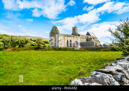 County Clare, Irland: Corcomroe Abbey Ruinen (St. Maria von den fruchtbaren Rock), Zisterzienser Kloster in der Nähe von Bellharbor in Glennamannagh und Ballyv entfernt Stockfoto